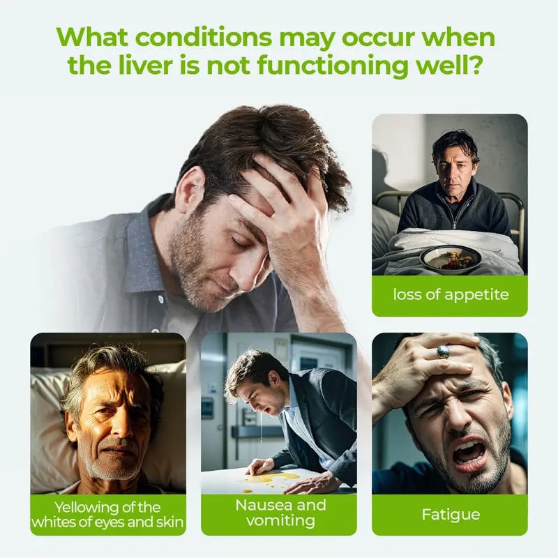 Product Introduction of Chicory 6 and Gardenia Herbal Tea Ready to Eat Convenient | Orange Peel & Chrysanthemum – Cool Relief from Heat| 12 Tea Bags Natural Ingredients Brewed 2