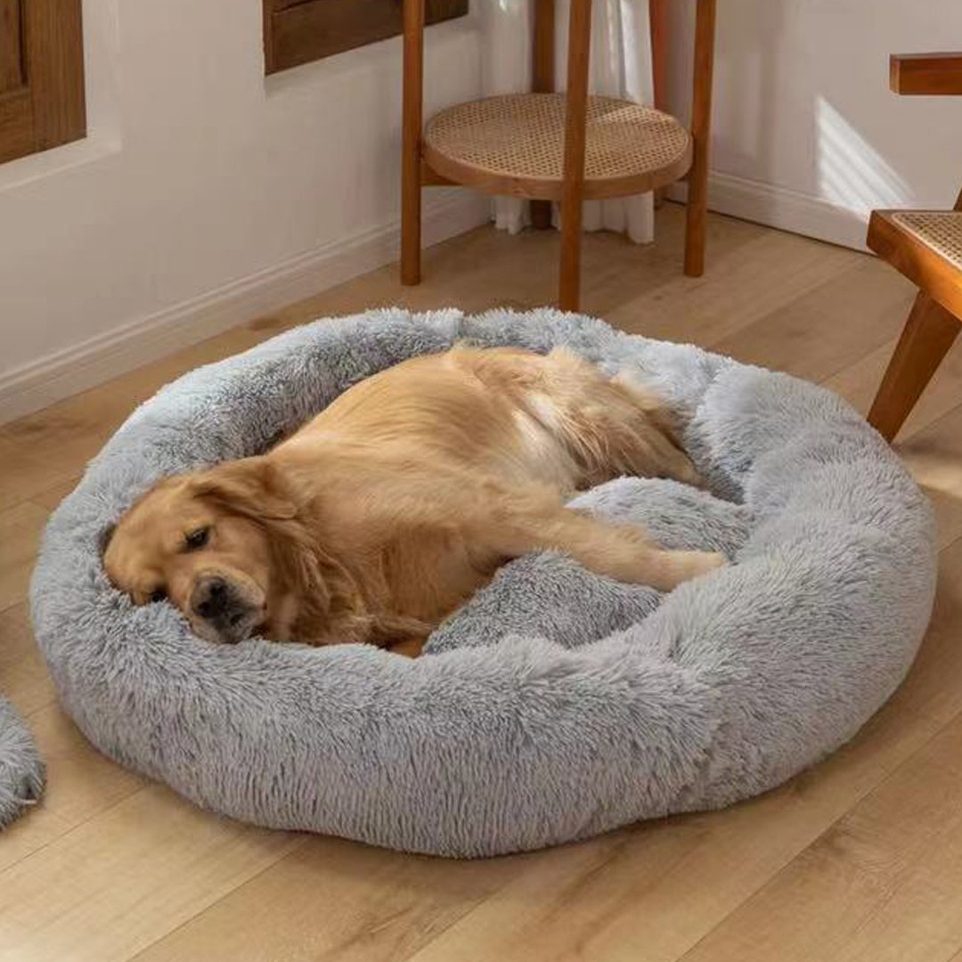 Comfy Calming Dog/Cat Bed