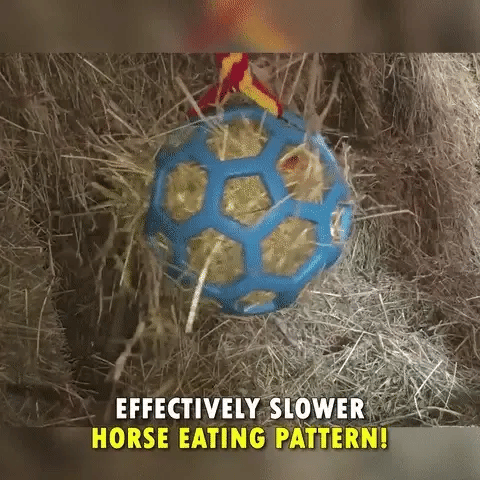 Horse Treat Ball