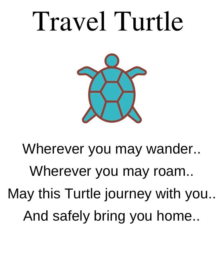 Handmade Turtle Keychain4