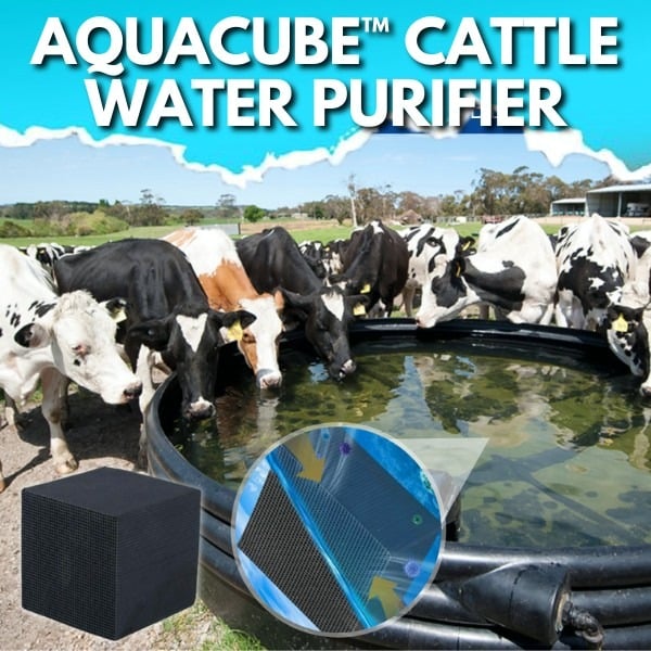 Water Trough Purifier Cube BUY 2 Get Extra 10 OFF & Free Shipping