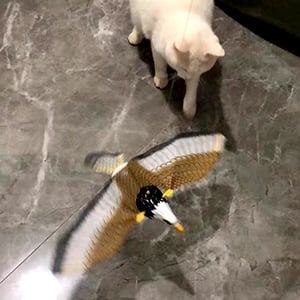 CAT TOY