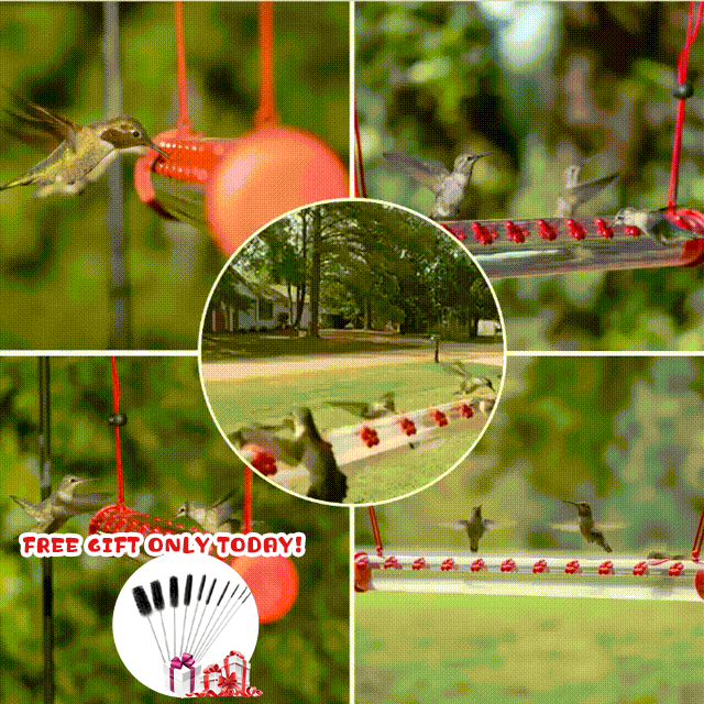 FLOWER BAR HUMMINGBIRD FEEDER