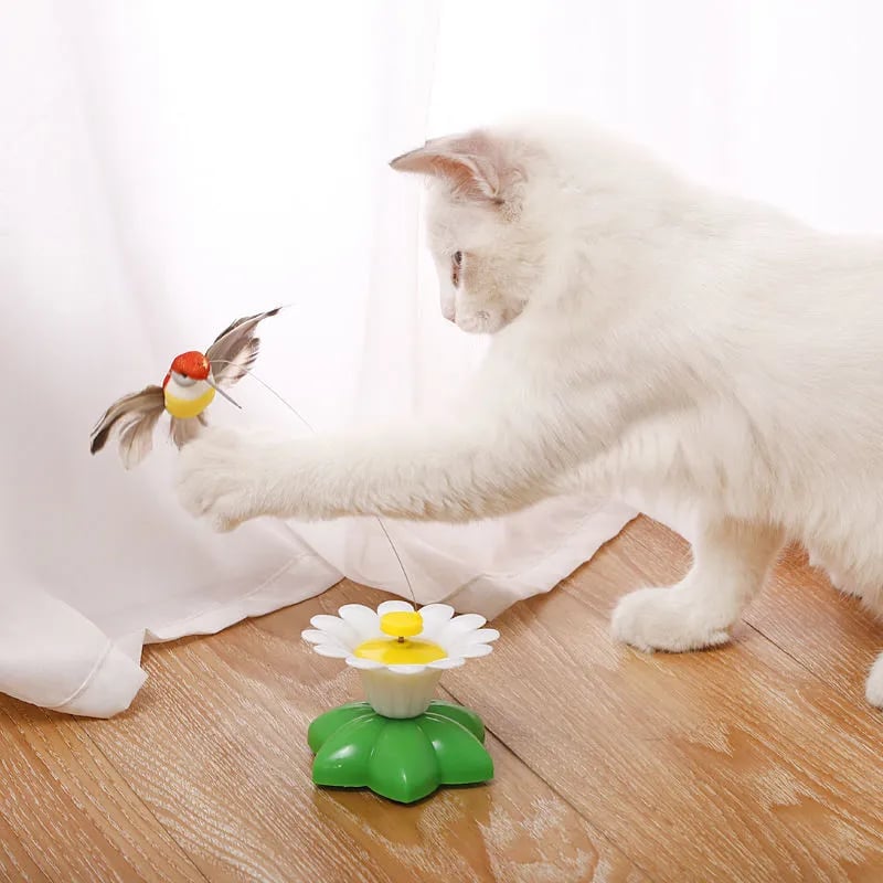 🔥Elektrisches Vogelspielzeug für Katzen♧