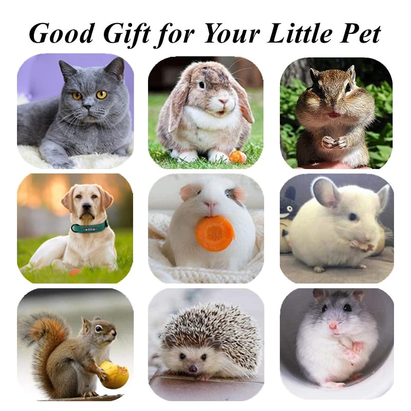 Description Picture 5 of itemPets s Vest Harness and Leash Anti-break Away Chest Strap Clothes Breathable Pet Vest Leash Anti-Escape Cat Harness