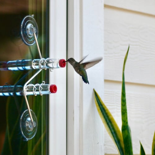 🔥Last Day 70 OFF🔥Geometric Window Hummingbird Feeder🐦